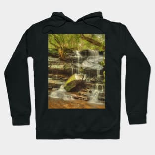 Somersby portrait Hoodie